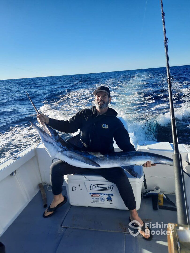 San Jose del Cabo Report Photo 0