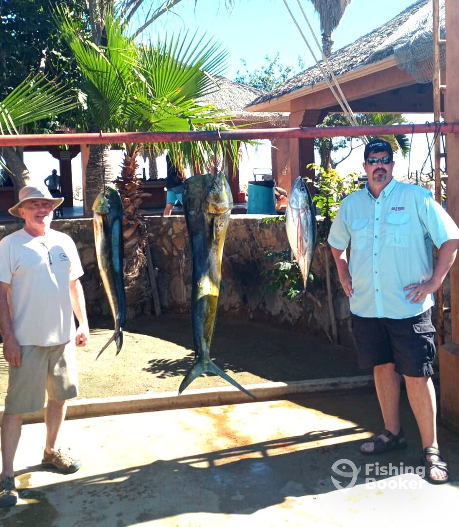 San Jose del Cabo Report Photo 0