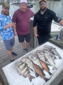 Sarasota Report Photo 2