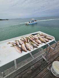 Family multi-activity charters 