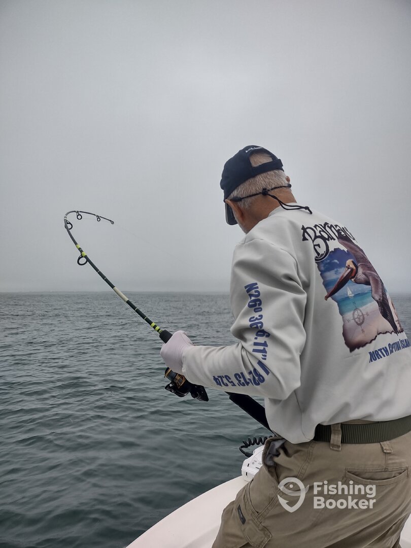 Yankeetown Report Photo 0