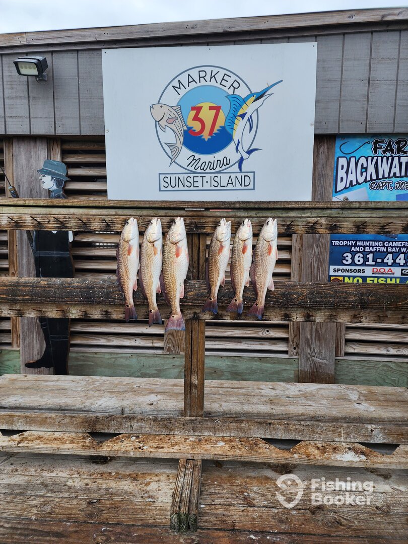 Corpus Christi Report Photo 0