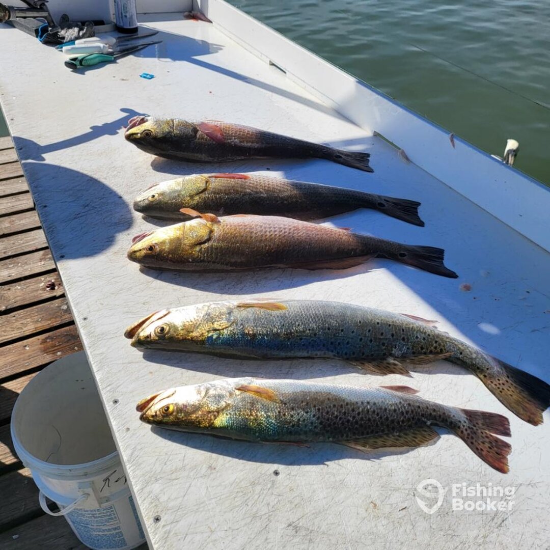 South Padre Island Report Photo 0