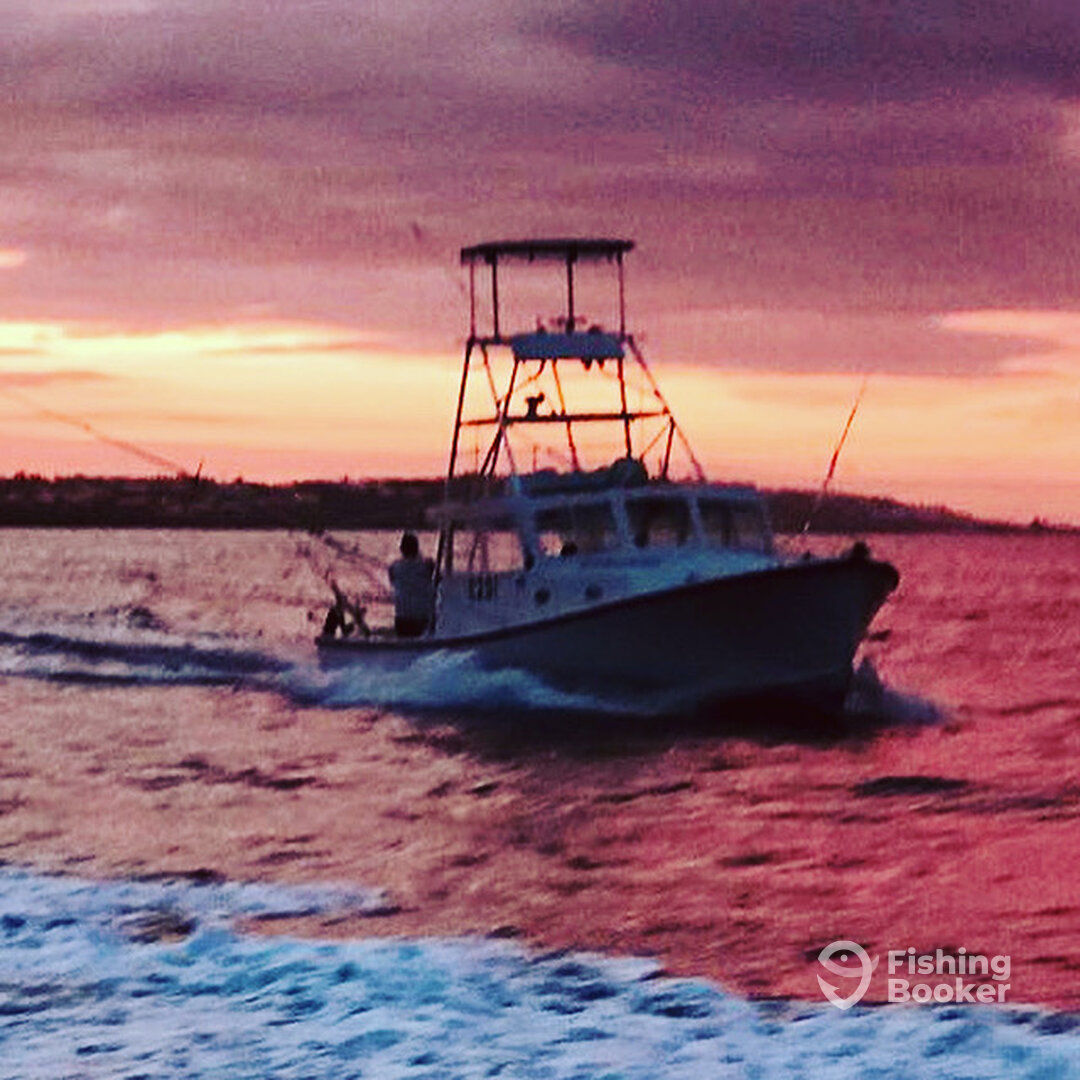 Sandys Report Photo 0