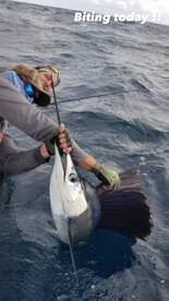 Fort Lauderdale Report Photo 2