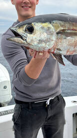 Its warm in Fort Lauderdale - January 