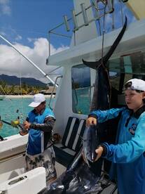 Le Morne Report Photo 1