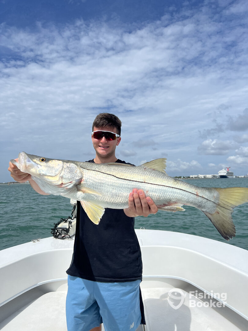 Port Canaveral Report Photo 0