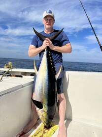 Atún aleta amarilla 