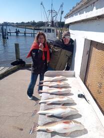 Redfish Rodeo