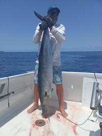 Wahoos are here on time