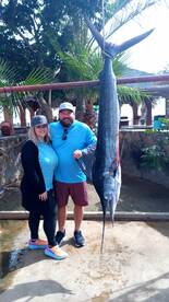 San Jose del Cabo Report Photo 2