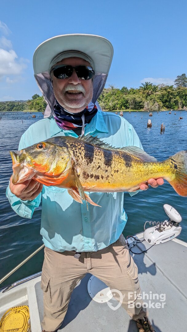 Gamboa Report Photo 0