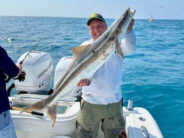 Nice Cobia on a pin fish!