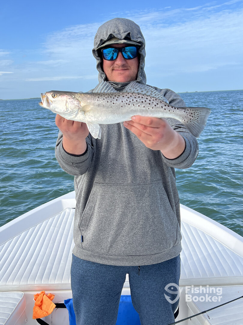 Tarpon Springs Report Photo 0