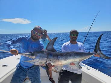 Big Swordfish!