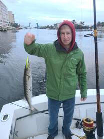 Inshore trip with barracudas and jacks