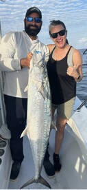 60 pound Kingfish on light tackle!