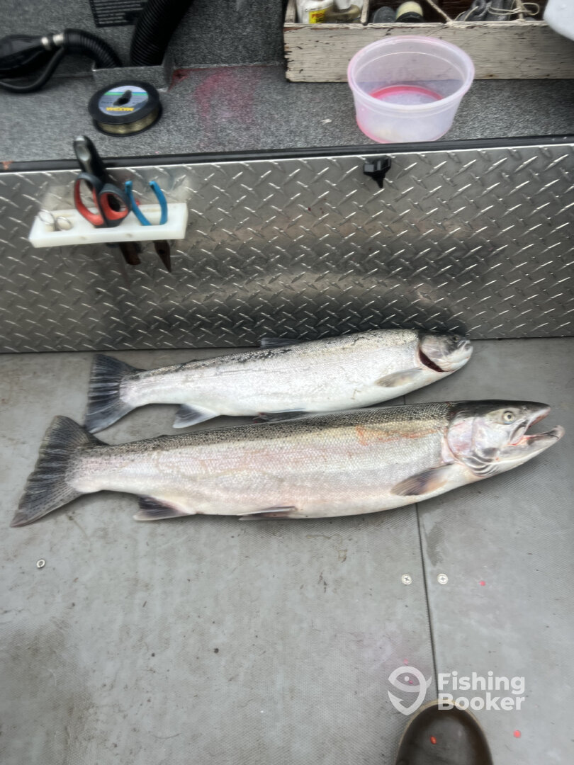 Milwaukie Report Photo 0