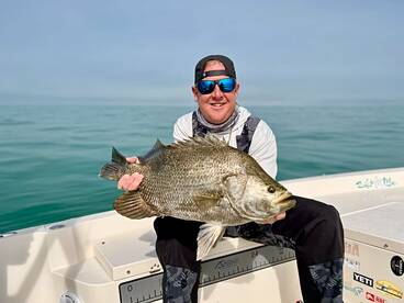 Sarasota Report Photo 2