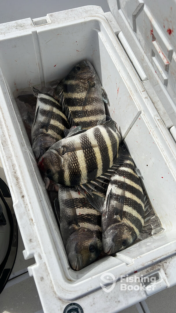 Bradenton Report Photo 0