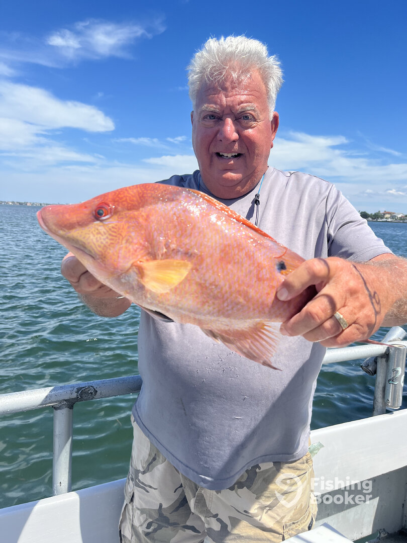 St. Pete Beach Report Photo 0