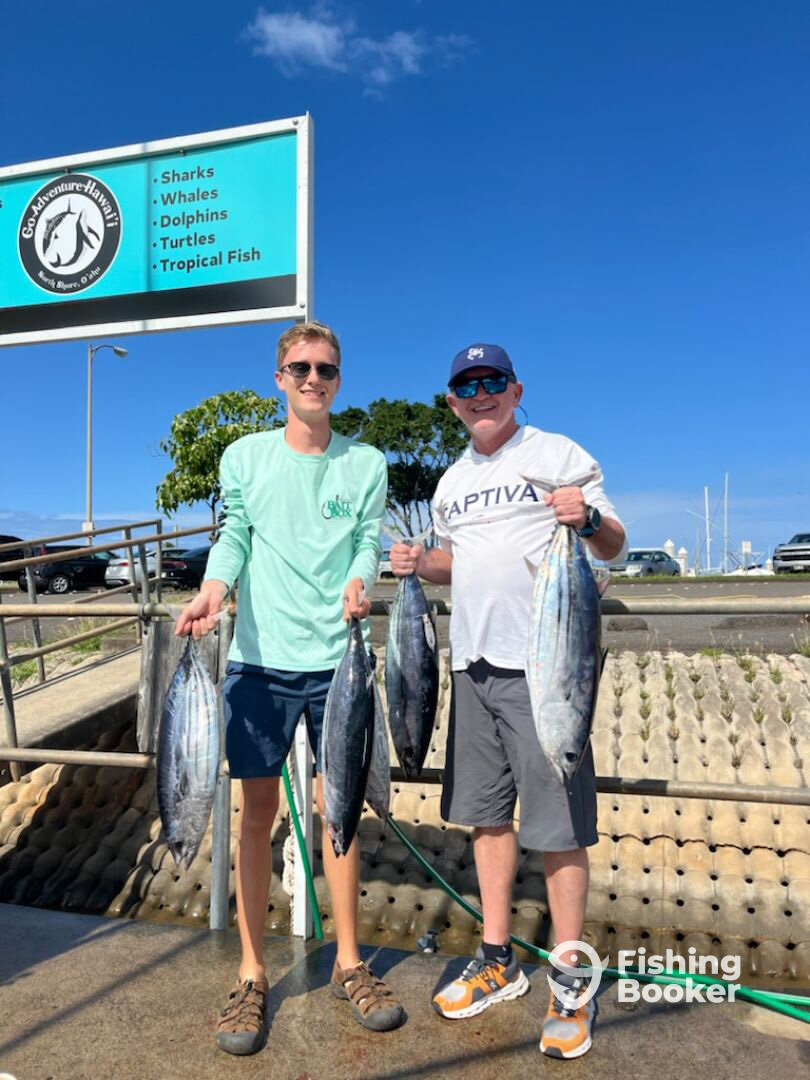 Haleiwa Report Photo 0