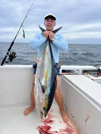 Atún aleta amarilla 