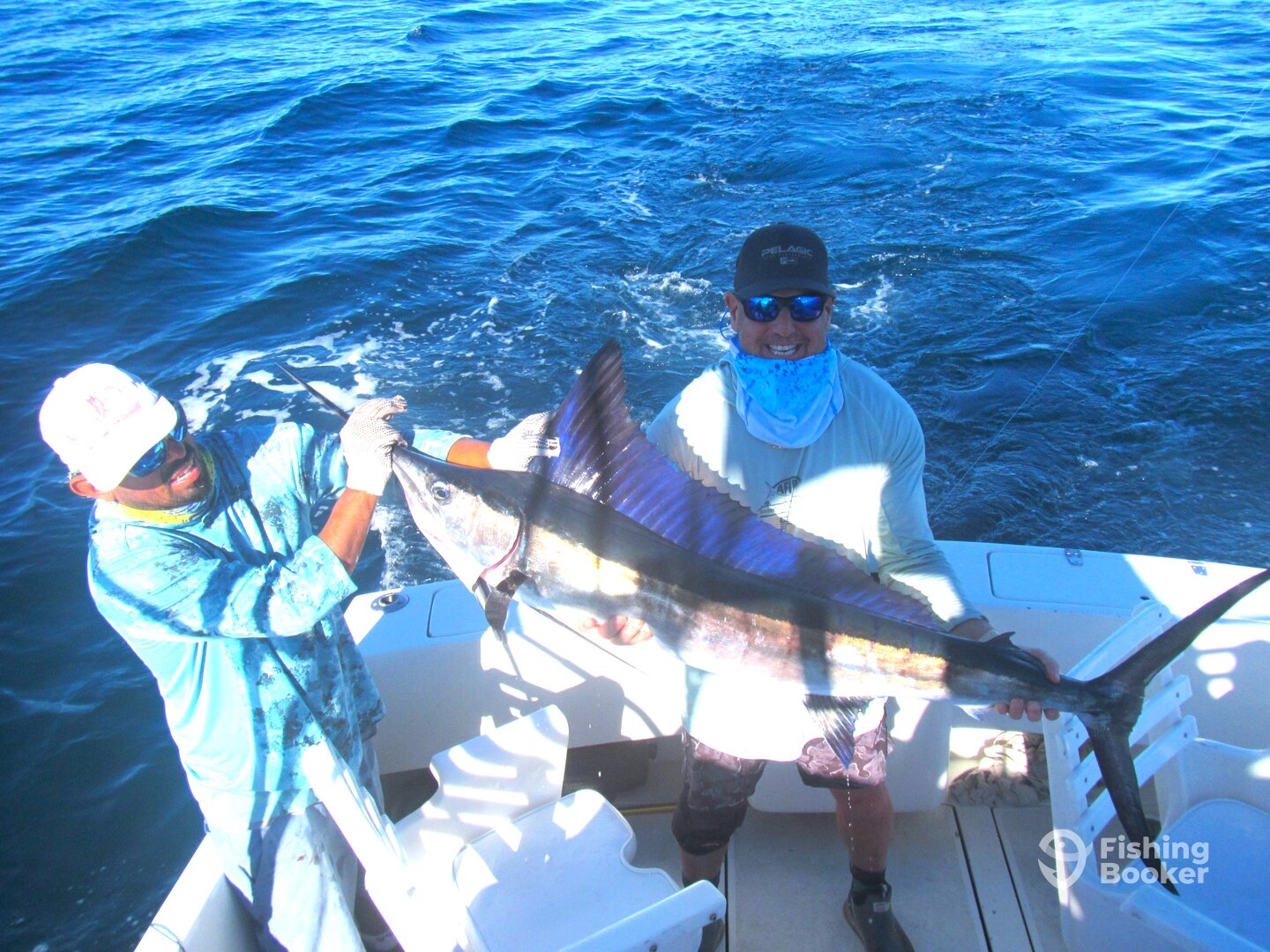 Cabo San Lucas Report Photo 0