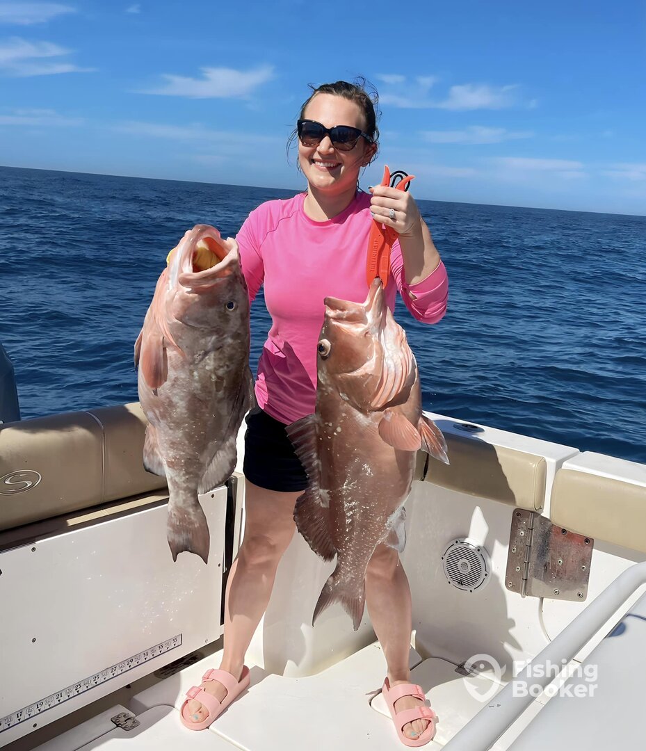 Red Grouper 2024