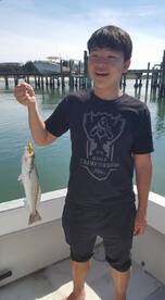 Beaufort Report Photo 2