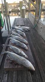 Beaufort Report Photo 1