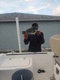 DeBary Report Photo 1