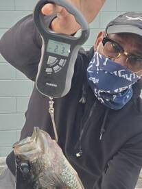 Crappie monster off of the Roe!