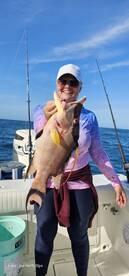 A beautiful a delicious male hogfish