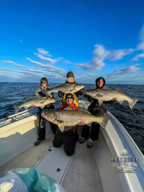Solomons Report Photo 1