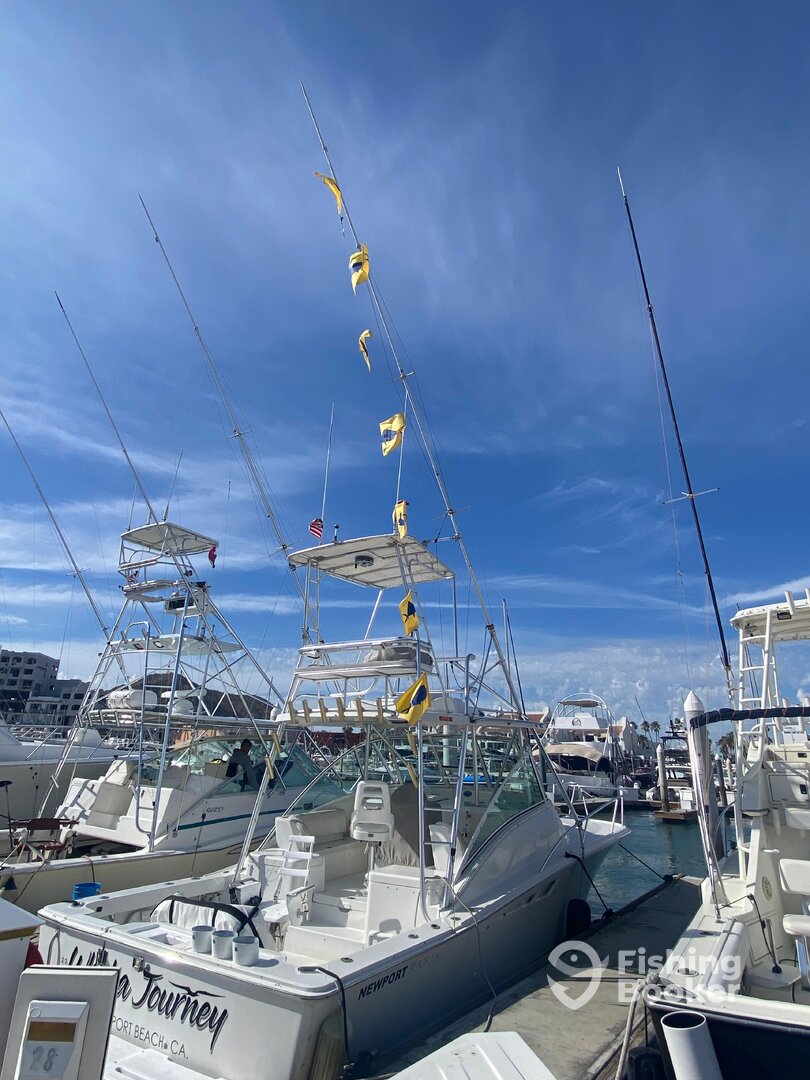 Cabo San Lucas Report Photo 0