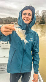Crystal River Report Photo 1