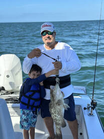 Cobia
