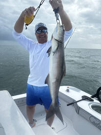 Naples Report Photo 2