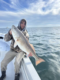 Beaufort Report Photo 2