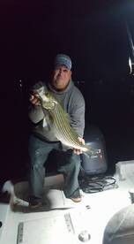 Night Time Cornucopia for Aman