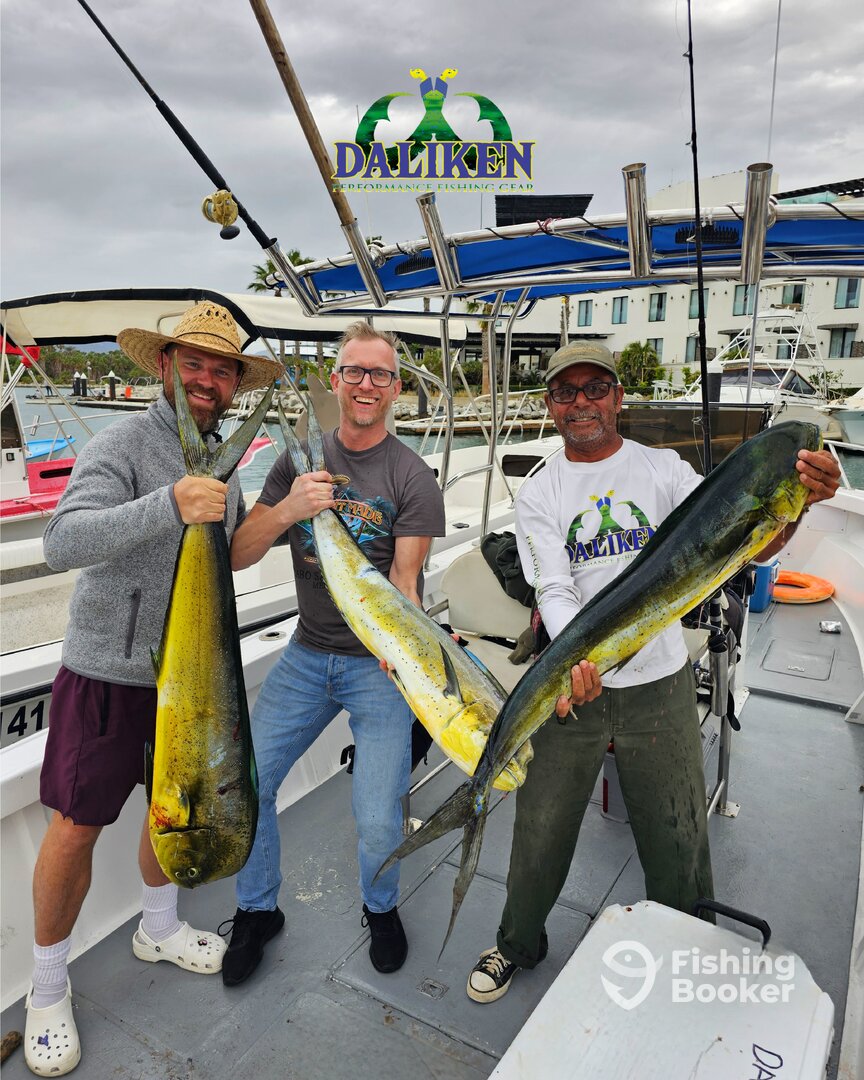San Jose del Cabo Report Photo 0