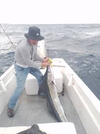San Jose del Cabo Report Photo 1