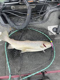 Oak Creek Report Photo 2