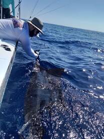 Paquera Report Photo 2