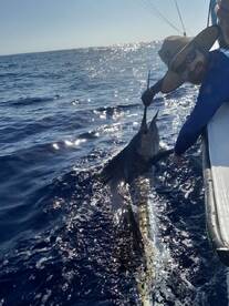 Paquera Report Photo 1