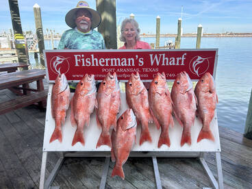 Snapper have been good