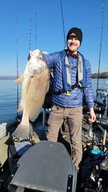 Harrison Report Photo 1