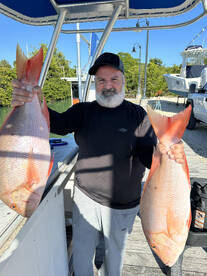 Feb Report Jumbo Muttons 